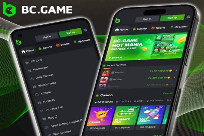 Unlocking the Potential of BC Platform App 878543911